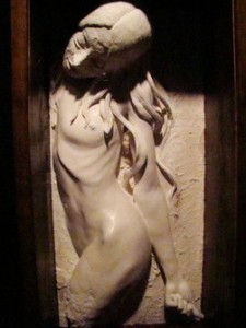 scl (36) - コピー   